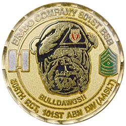 Bravo Company, 801st Brigade Support Battalion, "BullDawgs"(♠), Type 1