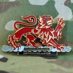 308th Brigade Support Battalion, Type 1