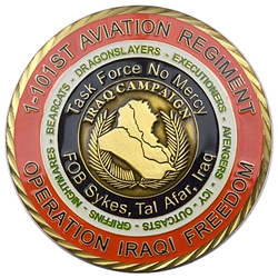 1st Battalion, 101st Aviation Regiment "Task Force No Mercy", Type 1