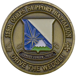 129th Corps Support Battalion "Drive the Wedge", Type 3