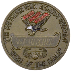 6th Battalion, 101st Aviation Regiment "Spirit of the Eagle", Type 3