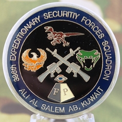 387th Expeditionary Security Forces Squadron, Type 1