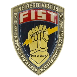 FIST, 1st Battalion, 187th Infantry Regiment, MSG, Type 2