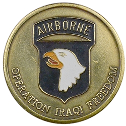 101st Airborne Division (Air Assault), Operation Iraqi Freedom, Type 1