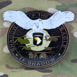 Task Force Shadow, 6th Battalion, 101st Aviation Regiment "Shadow of the Eagle", Type 2