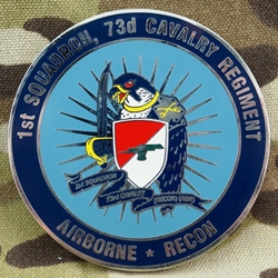 1st Squadron, 73rd Cavalry Regiment, Type 1