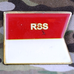 RSS, 2nd Armored Cavalry Regiment, Type 1