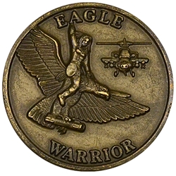 2nd Battalion, 101st Aviation Regiment "Eagle Warrior", Type 1