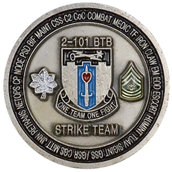 2nd Brigade Special Troops Battalion, 2nd BCT "Strike Team" (♥), Type 1