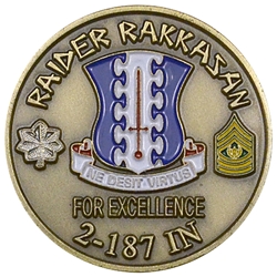 2nd Battalion, 187th Infantry Regiment, Rakkasan Raiders, Type 3