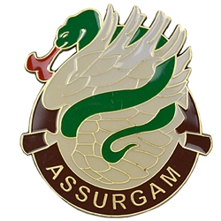 626th Brigade Support Battalion "Assurgam", Type 5