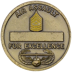 101st Airborne Division (Air Assault), Division Command Sergeant Major, Type 3
