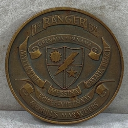 1st Ranger Battalion, 75th Ranger Regiment, Type 2