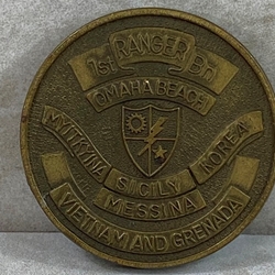 1st Ranger Battalion, 75th Ranger Regiment, Type 4