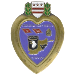 101st Airborne Division (Air Assault), Division Commander, Type 11
