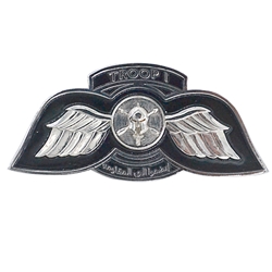 Troop 1, 4th Battalion, 5th Special Forces Group (Airborne) 2 15/16"