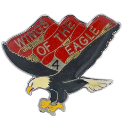 4th Battalion, 101st Aviation Regiment "Wings of the Eagle" (▲), LTC/CSM