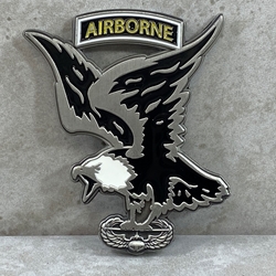 101st Combat Aviation Brigade "Destiny"