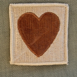 Helmet Patch, 502nd Infantry Regiment Desert