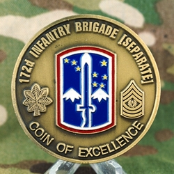 172nd Infantry Brigade (Separate), Type 1