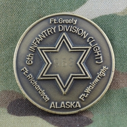 6th Infantry Division, Type 1