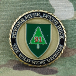 91st Infantry Division, CSM, Type 1