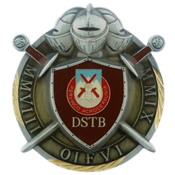 Division Special Troops Battalion, 10th Mountain Division, Type 1