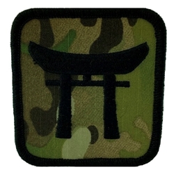 Helmet Patch, 187th Infantry Regiment MultiCam® Type 2