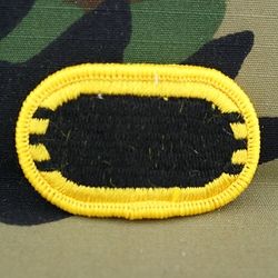 Patch, 101st Airborne Division Without Tab, Color