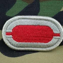 Patch, 101st Airborne Division Without Tab, Color