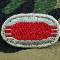 Patch, 101st Airborne Division Without Tab, Color