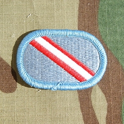 Patch, 101st Airborne Division Without Tab, Color