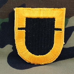 Patch, 101st Airborne Division Without Tab, Color